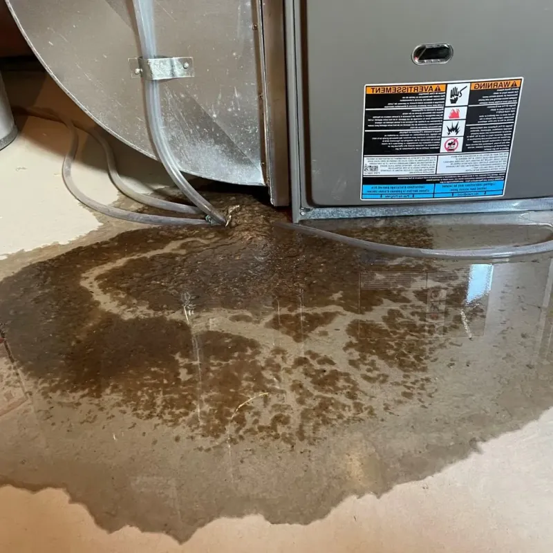 Pipe Burst and Leak Restoration in Anson County, NC