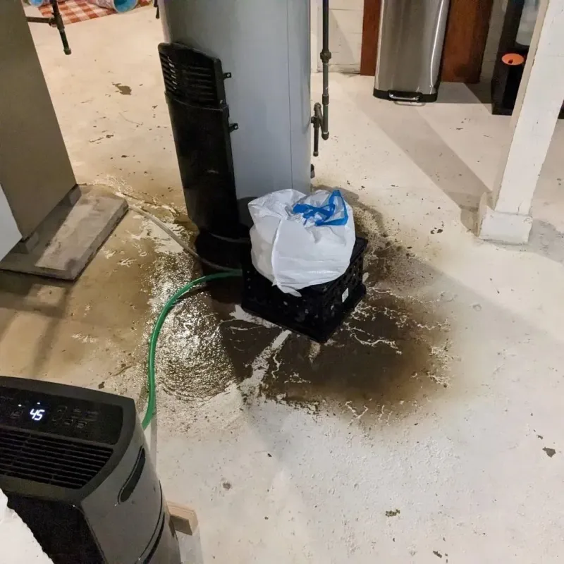 Sewage Backup Cleanup Service in Anson County, NC